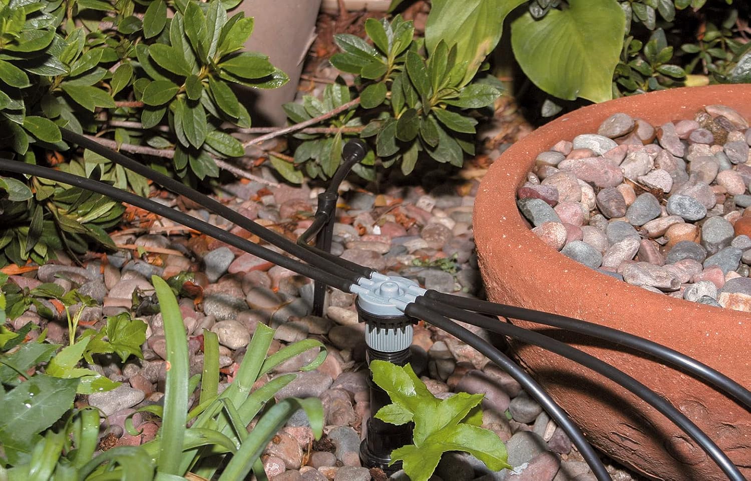 Building a Drip Zone for Ornamental Beds: Manifolds, Pressure Regulation, and Emitter Math That Actually Works